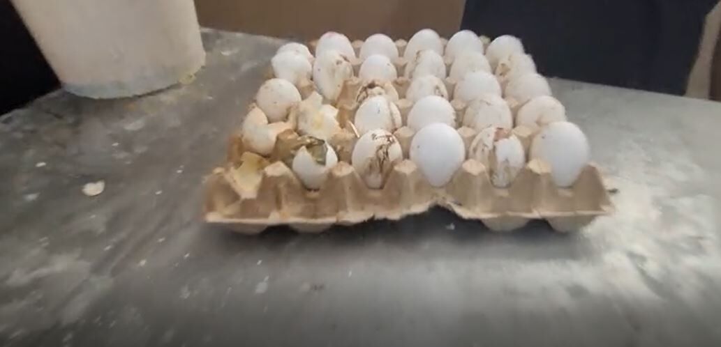 Şanlıurfa'da 170 kilo bozuk ete el kondu